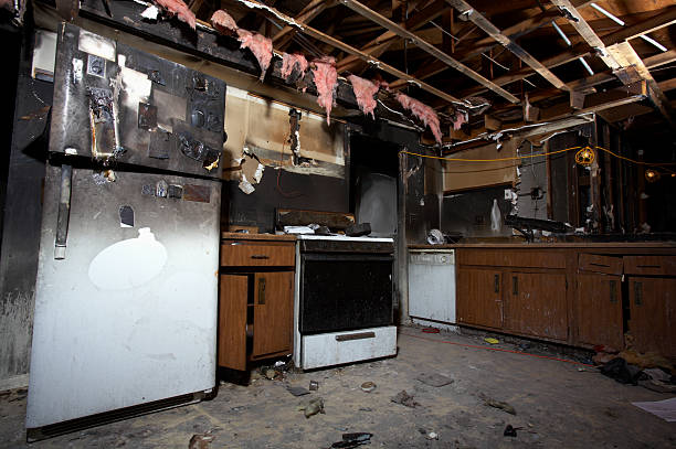 Licensed Content Restoration service in Honaunau-Napoopoo, HI - Meridian Smoke Damage